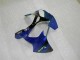 00-02 Blau ZX6R Motorrad Verkleidung