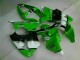 00-02 Grün Schwarz ZX6R Motor Verkleidung 00-02 Grün Schwarz ZX6R Motor Verkleidung