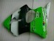 00-02 Grün Schwarz ZX6R Motor Verkleidung 00-02 Grün Schwarz ZX6R Motor Verkleidung