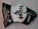 00-02 Schwarzer West Ninja ZX6R Motorrad Verkleidung