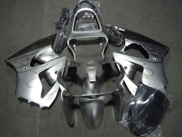 00-02 Silber Flamme ZX6R Motorrad Verkleidung