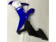 02-03 Blau Weiß YZF R1 Motorrad Vollverkleidung