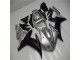 02-03 Silber Schwarz YZF R1 Motorrad Verkleidungen 02-03 Silber Schwarz YZF R1 Motorrad Verkleidungen