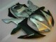 02-03 Silber YZF R1 Motorrad Verkleidungen 02-03 Silber YZF R1 Motorrad Verkleidungen