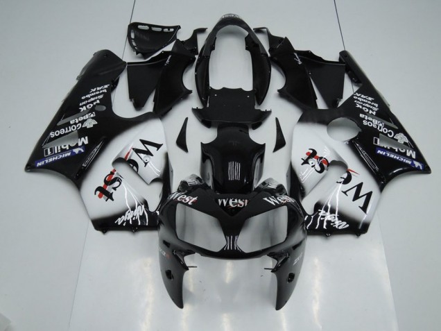 02-06 West ZX12R Motorrad Verkleidung 02-06 West ZX12R Motorrad Verkleidung