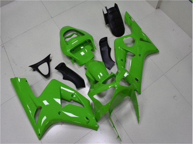 03-04 Grün ZX6R Motorrad Verkleidungen