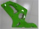03-04 Grün ZX6R Motorrad Verkleidungen