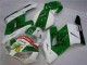 04-05 Grün Weiß CBR1000RR Motorrad Verkleidung 04-05 Grün Weiß CBR1000RR Motorrad Verkleidung