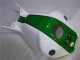 04-05 Grün Weiß CBR1000RR Motorrad Verkleidung 04-05 Grün Weiß CBR1000RR Motorrad Verkleidung