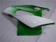 04-05 Grün Weiß CBR1000RR Motorrad Verkleidung 04-05 Grün Weiß CBR1000RR Motorrad Verkleidung