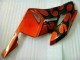 04-05 Orange Schwarz CBR1000RR Motorrad Verkleidungen