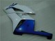 04-05 Weiß Blau CBR1000RR Motorrad Verkleidungen
