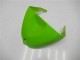 05-06 Grün ZX6R Motorrad Verkleidung 05-06 Grün ZX6R Motorrad Verkleidung