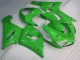 05-06 Grün ZX6R Motorrad Verkleidung & Plastik 05-06 Grün ZX6R Motorrad Verkleidung & Plastik