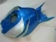 06-07 Blau Silber CBR1000RR Motorrad Verkleidung