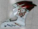 06-07 Braun Weiß YZF R6 Motorrad Verkleidung 06-07 Braun Weiß YZF R6 Motorrad Verkleidung