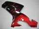 06-07 Rot Flamme ZX10R Motorrad Verkleidung 06-07 Rot Flamme ZX10R Motorrad Verkleidung