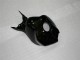 06-07 Schwarz CBR1000RR Motorrad Vollverkleidung