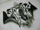 06-07 Silber CBR1000RR Motorrad Verkleidung