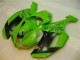 07-08 Grün Schwarzer Dunlop ZX6R Motorrad Verkleidung 07-08 Grün Schwarzer Dunlop ZX6R Motorrad Verkleidung