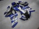08-16 Blau Weiß FAAC YZF R6 Motorrad Verkleidung