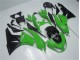 09-12 Grün Schwarz ZX6R Motorrad Vollverkleidung