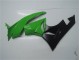 09-12 Grün Schwarz ZX6R Motorrad Vollverkleidung