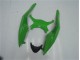 09-12 Grün Schwarz ZX6R Motorrad Vollverkleidung